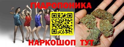 стафф Бугуруслан