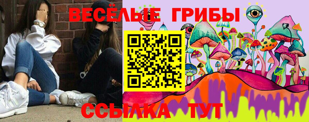 Ухта  что такое   Вход с VPN  Галлюциногенные грибы GOLDEN TEACHER 